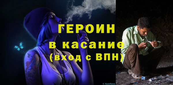 гидра Арсеньев