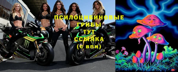 гидра Арсеньев