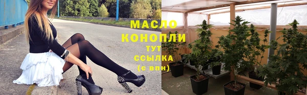 гидра Арсеньев