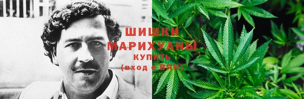 гидра Арсеньев